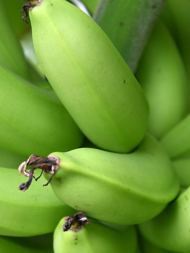 9 Surprising Top Health Benefits of Green Bananas