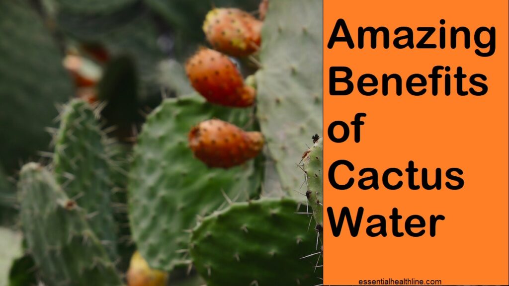Health benefits of cactus water