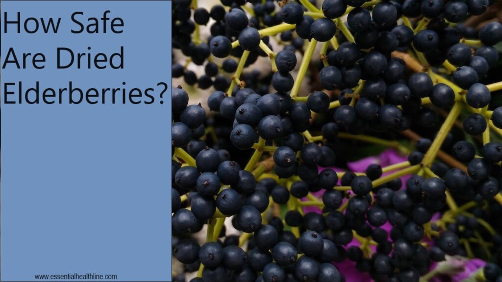 Are dried elderberries safe to eat