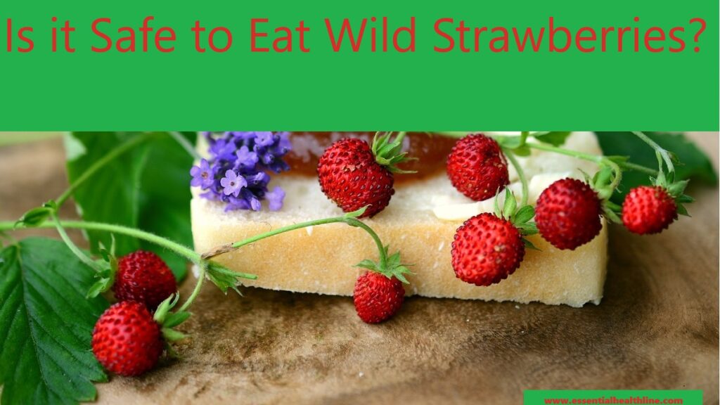 Are wild strawberries safe to eat