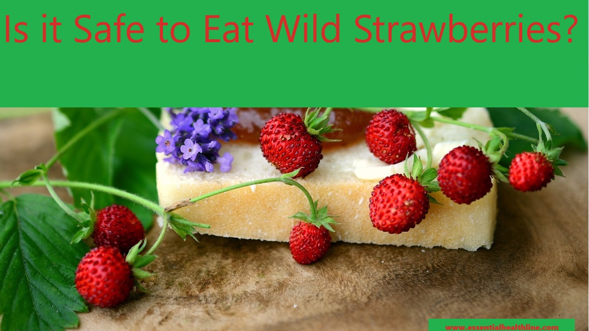 Are Wild Strawberries Safe to Eat?How Can You Identify Them