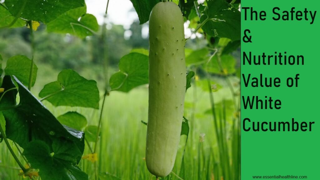 Are white cucumbers safe to eat