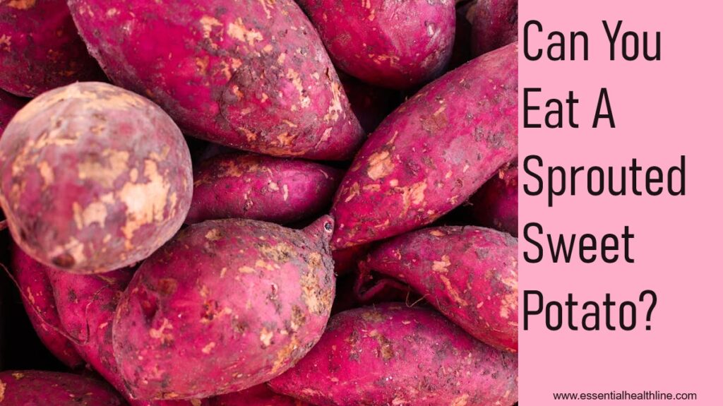 Are Sprouted Sweet Potatoes Safe to Eat